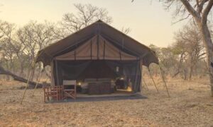 Chobe under Canvas