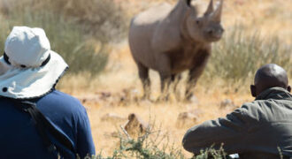 Desert Rhino Camp