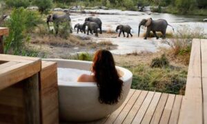 Londolozi Private Granite Suites