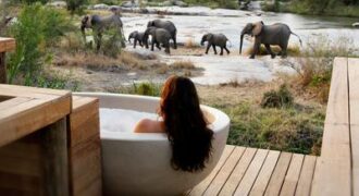 Londolozi Private Granite Suites