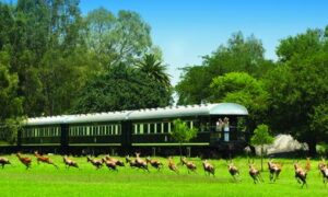 Rovos Rail – 2 Nights