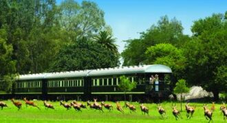 Rovos Rail – 2 Nights