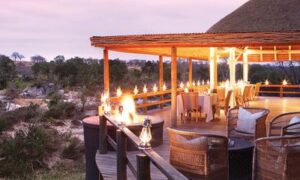 Londolozi Founders Camp