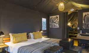 Linyanti Tented Camp