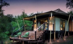 Ngala Tented Camp