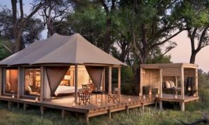 Nxabega Okavango Tented Camp