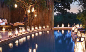 Londolozi Pioneer Camp