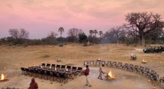 Sandibe Okavango Safari Lodge