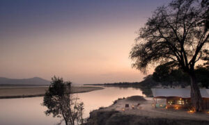 Zambezi Expeditions