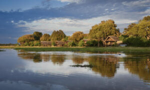 Khwai River Lodge