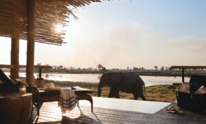 13 Nights Botswana, Victoria Falls & Cape Town