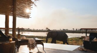 13 Nights Botswana, Victoria Falls & Cape Town