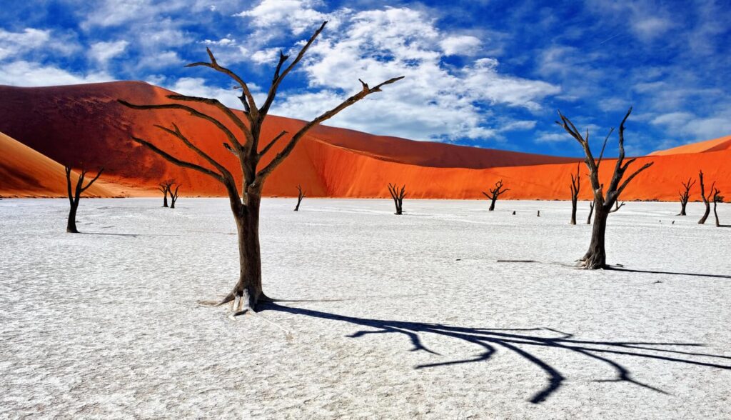 Best of Namibia