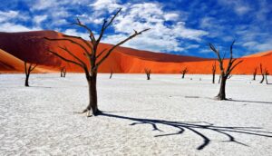 Best of Namibia