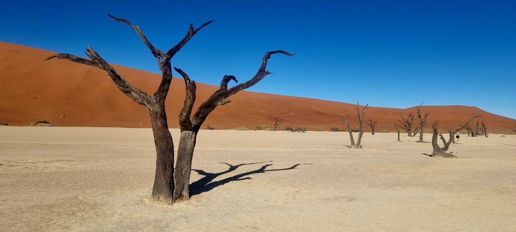 Sossusvlei - Dead Vlei - Namibia